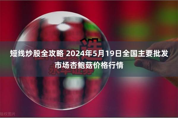 短线炒股全攻略 2024年5月19日全国主要批发市场杏鲍菇价格行情