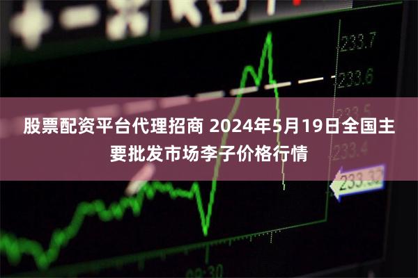 股票配资平台代理招商 2024年5月19日全国主要批发市场李子价格行情