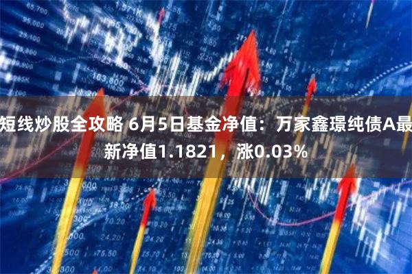 短线炒股全攻略 6月5日基金净值：万家鑫璟纯债A最新净值1.1821，涨0.03%