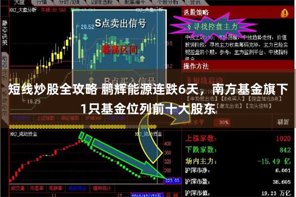 短线炒股全攻略 鹏辉能源连跌6天，南方基金旗下1只基金位列前十大股东