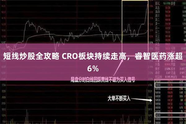 短线炒股全攻略 CRO板块持续走高，睿智医药涨超6%
