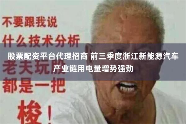 股票配资平台代理招商 前三季度浙江新能源汽车产业链用电量增势强劲
