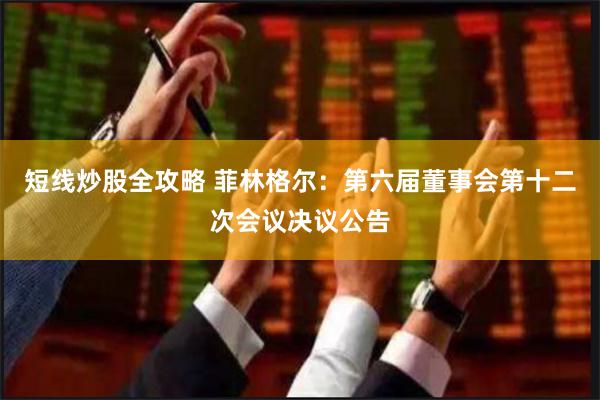 短线炒股全攻略 菲林格尔：第六届董事会第十二次会议决议公告
